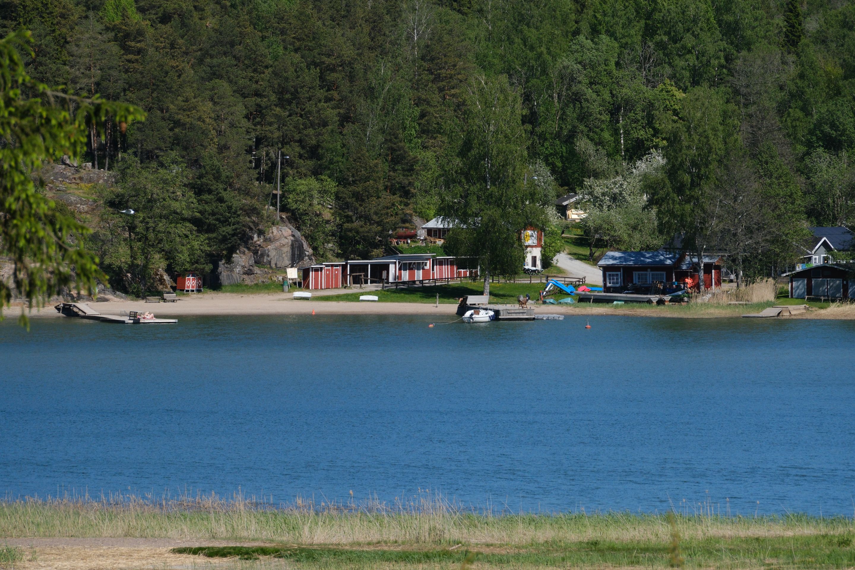 DSCF0533.JPG