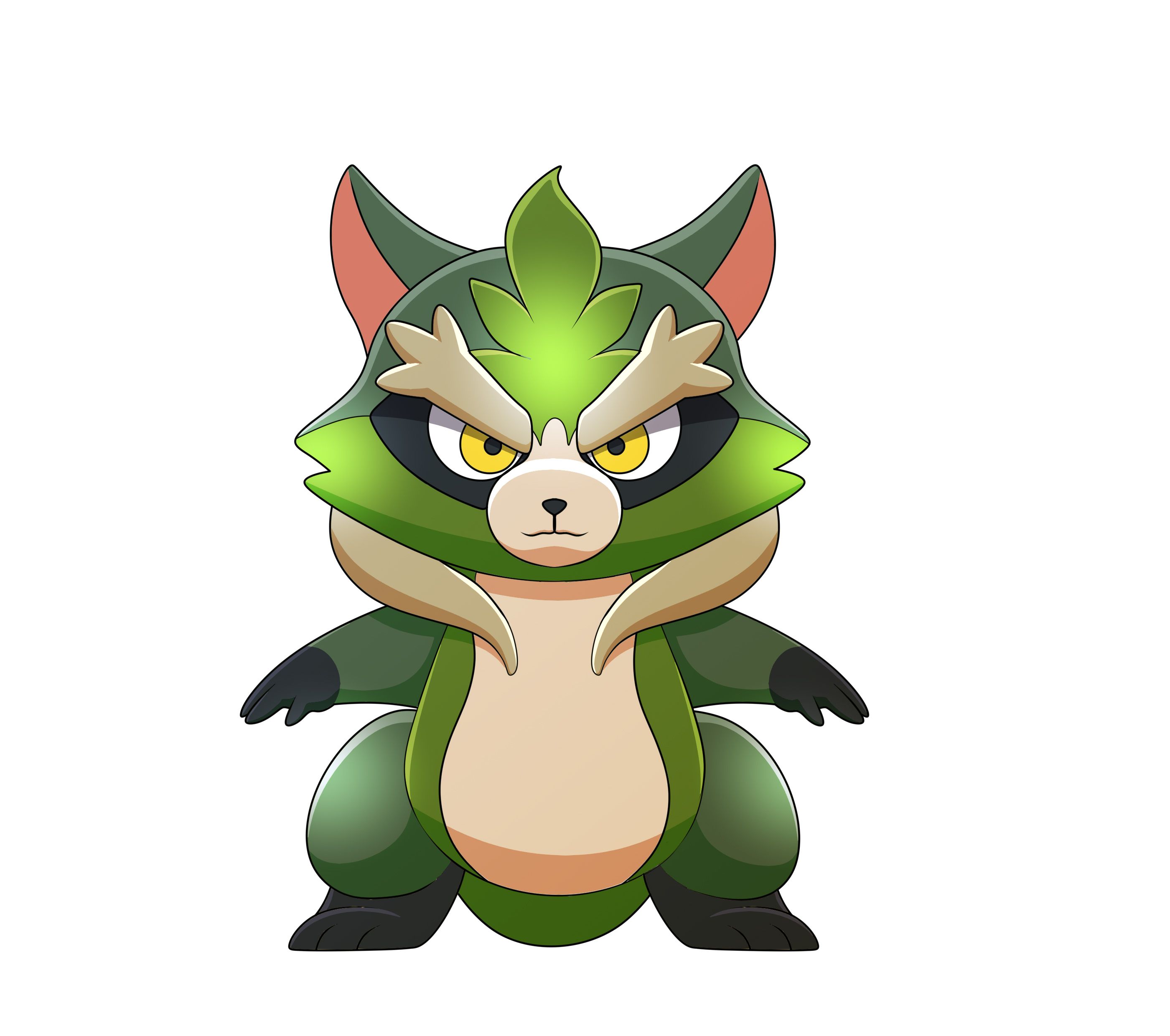 Racoon_front_col.jpg