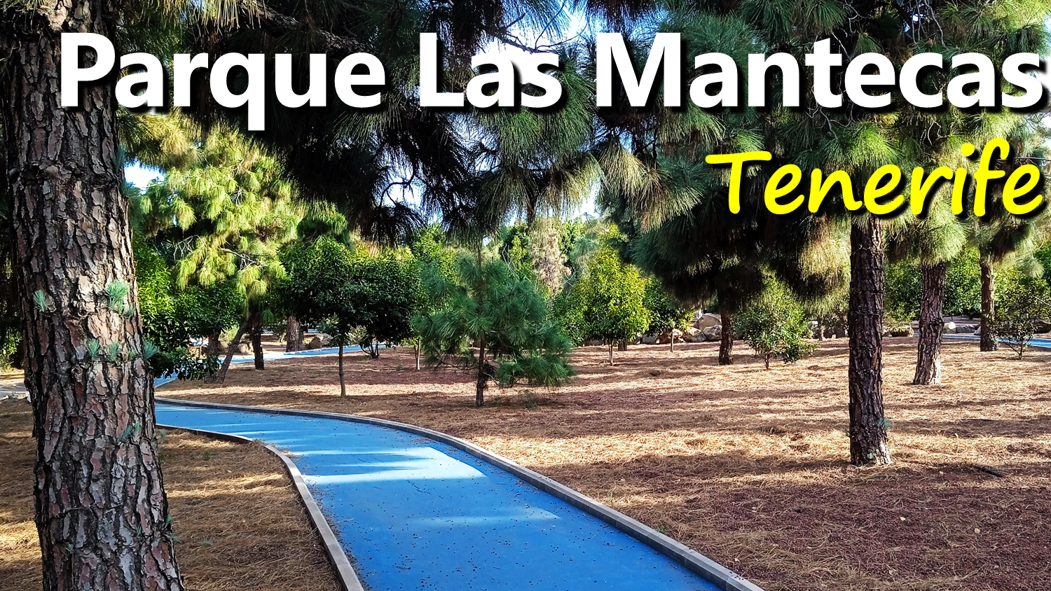 Visita al Parque Las Mantecas Tenerife Visiting Las Mantecas Park.png