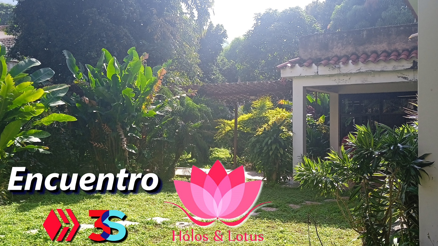 Encuentro Holos Lotus Hive Blog Bienestar Holistico Espiritual acont Comunidad Web 3.png