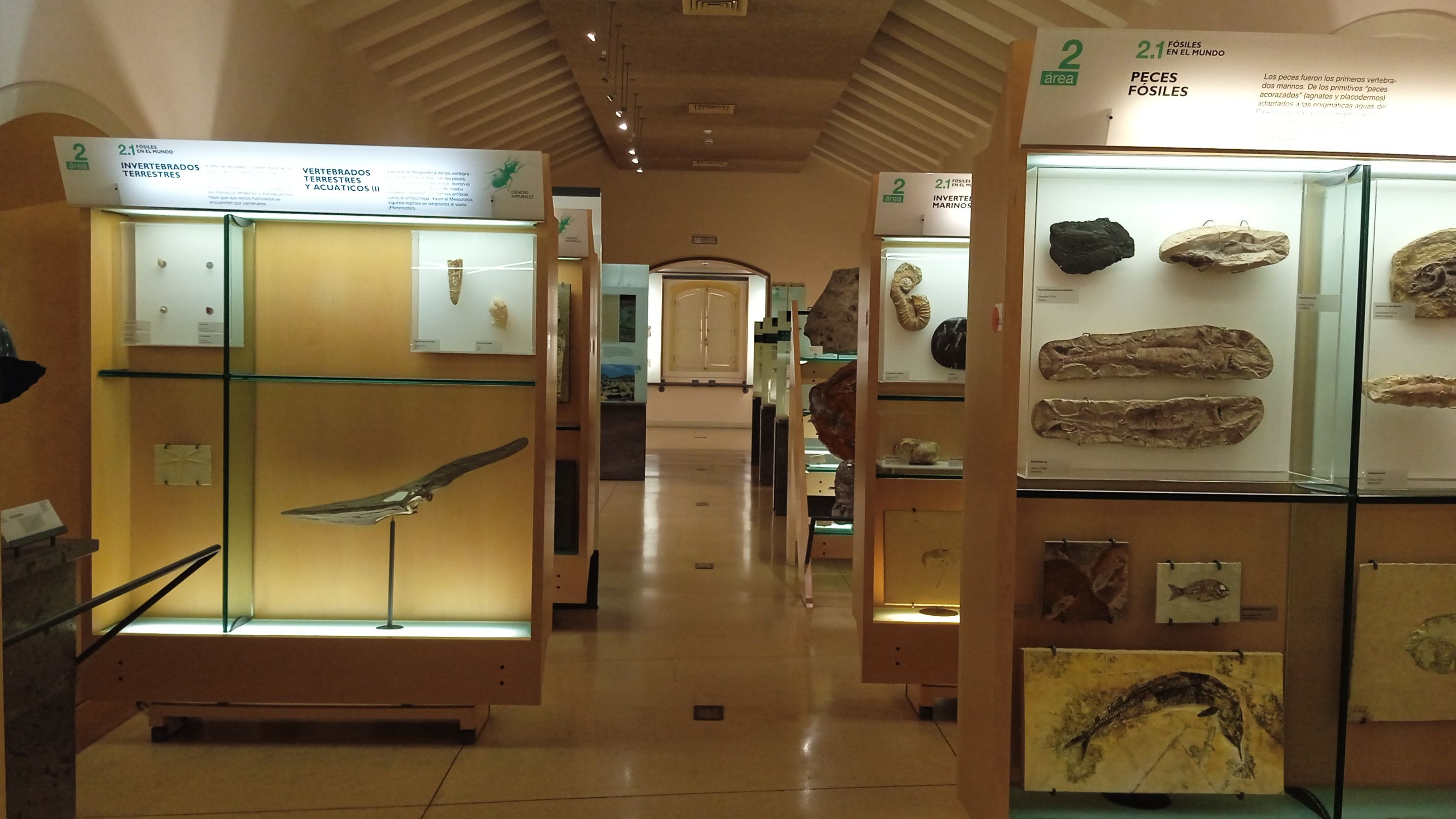MUNA Museo de la Naturaleza y la Arqueología PinMapple Hive Blog (33).jpg