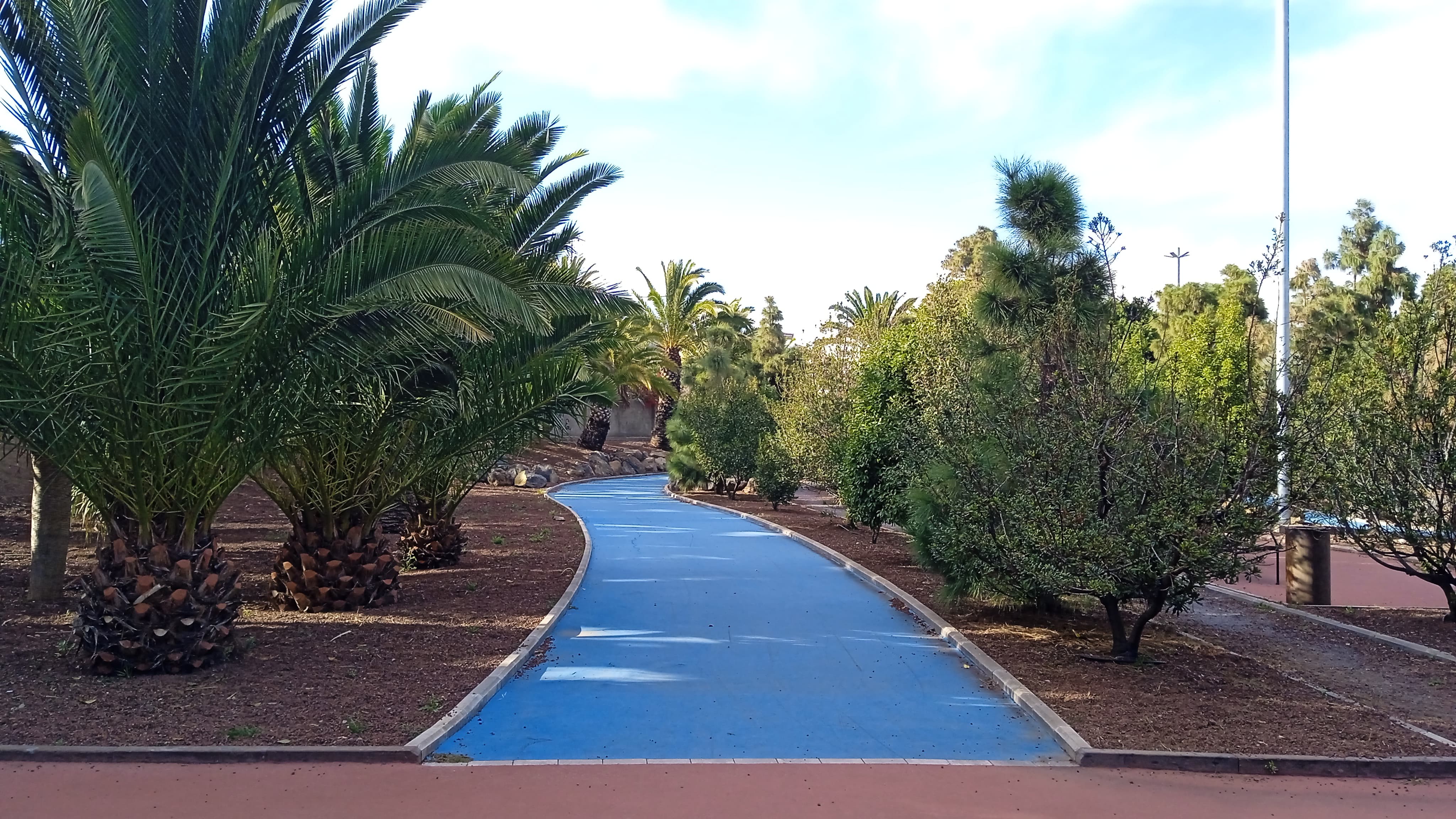 Parque Las Mantecas Tenerife (11).jpg