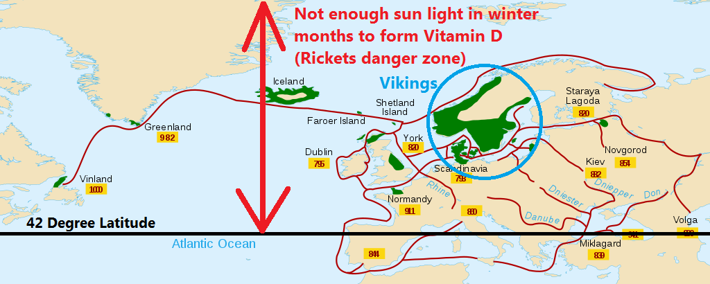 Vikings Rickets Cod Fish Vitamin D Hive blog.png