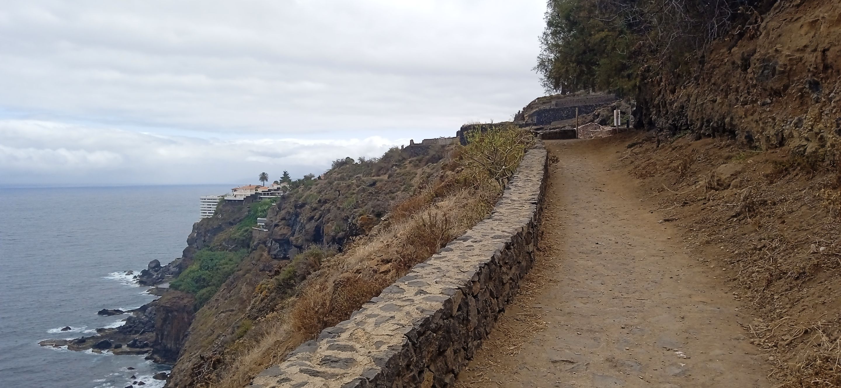 Sendero Rambla de Castro Hive Tenerife PinMapple (44).jpg