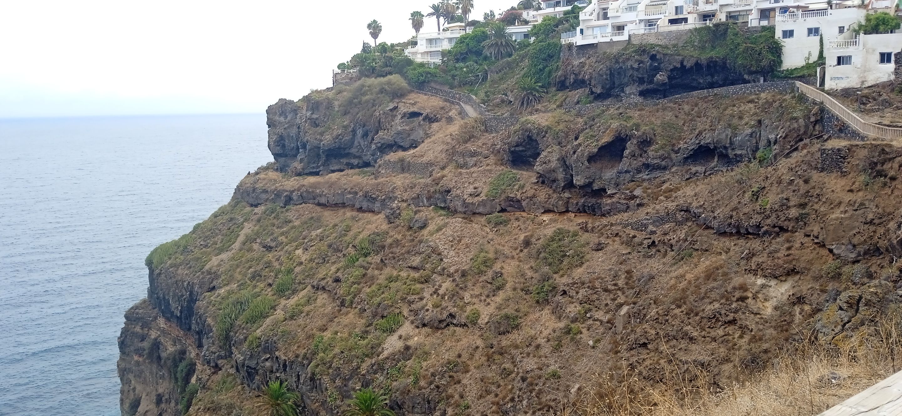 Sendero Rambla de Castro Hive Tenerife PinMapple (29).jpg
