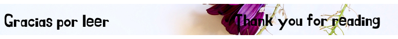Gracias por leer dos idiomas nuevo.png