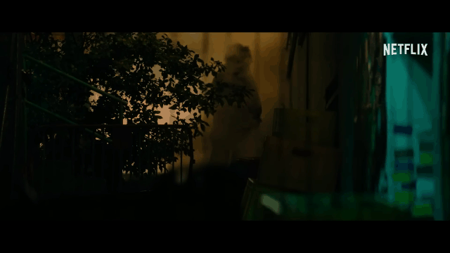 01.gif
