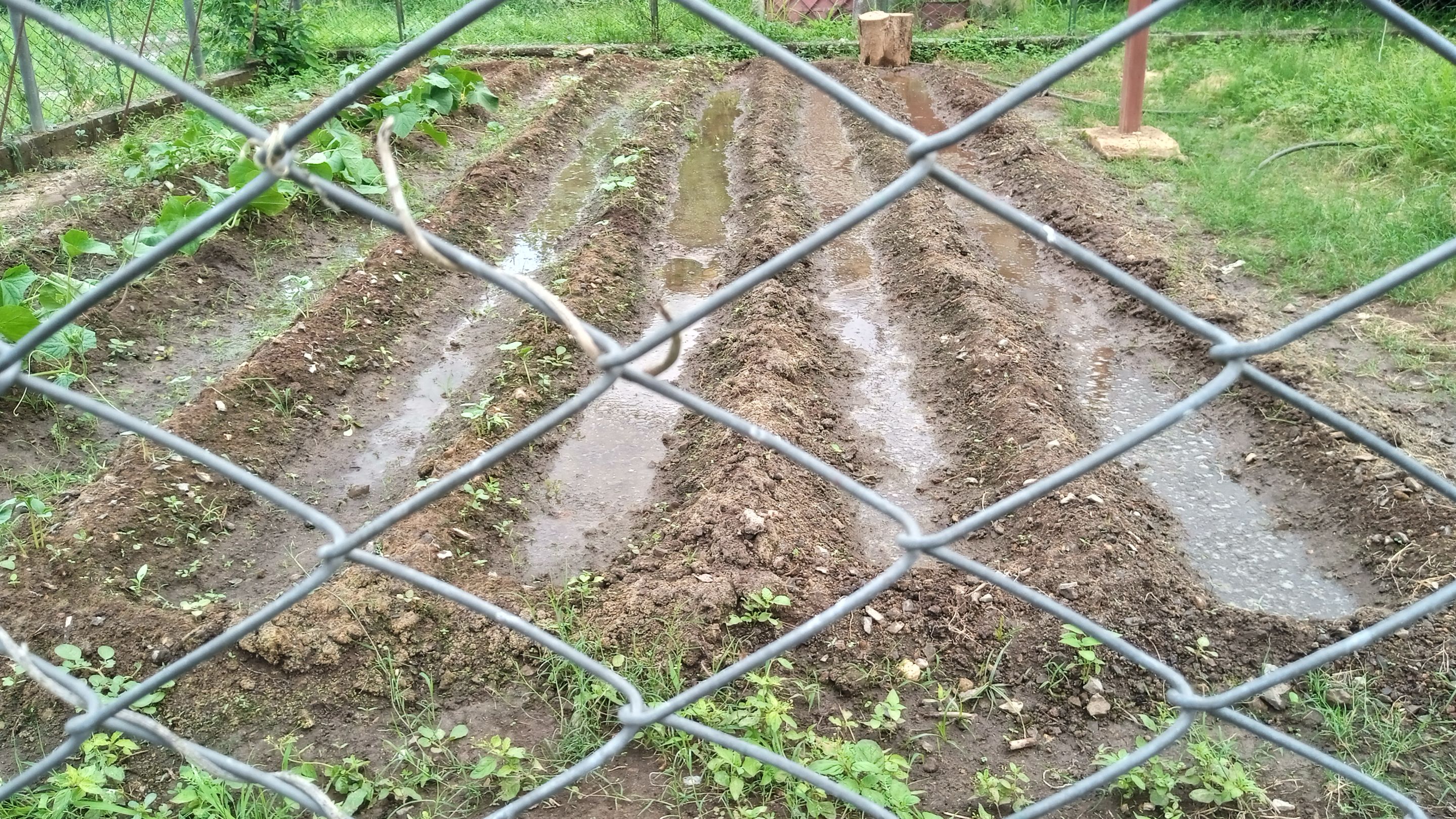 IMG_20250707_154247.jpg