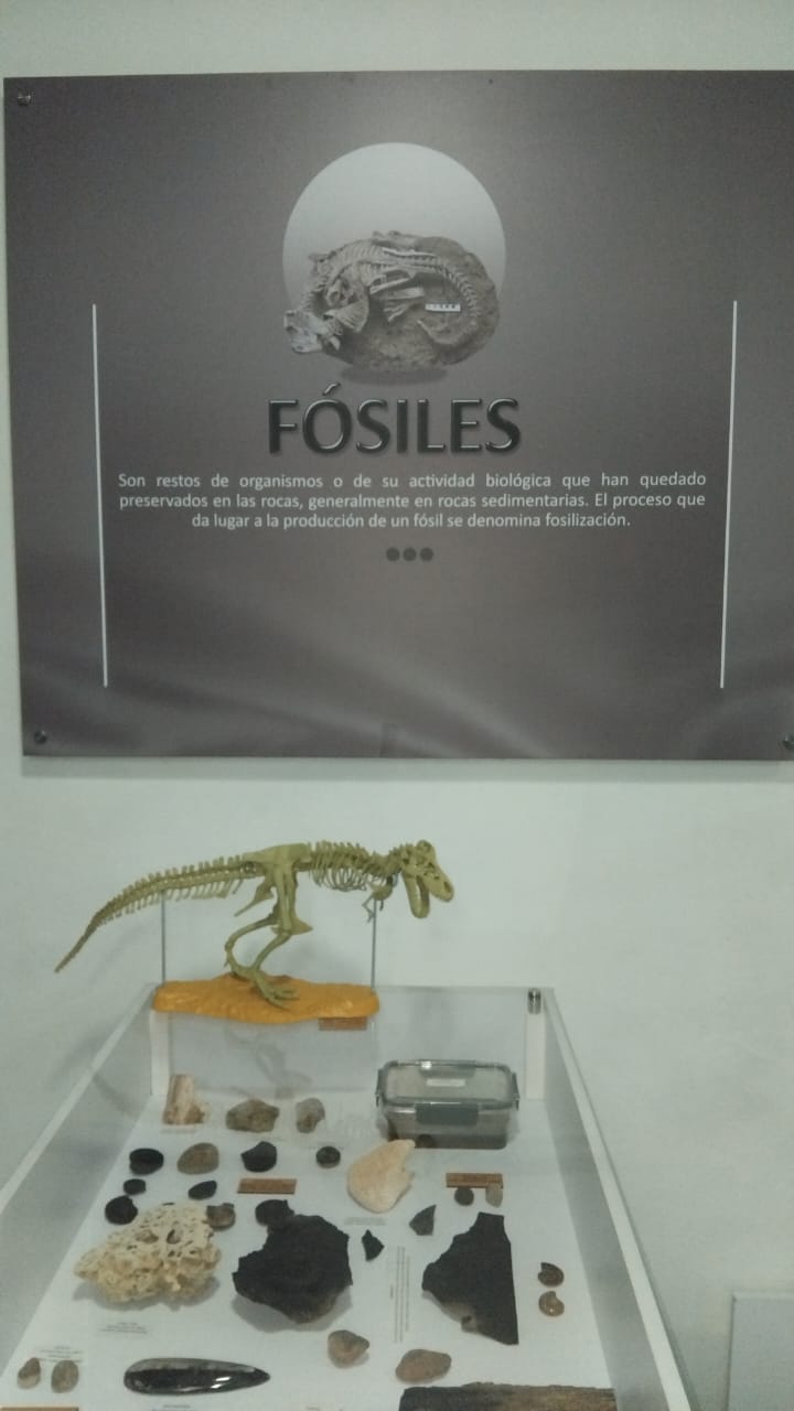1000467166.jpg