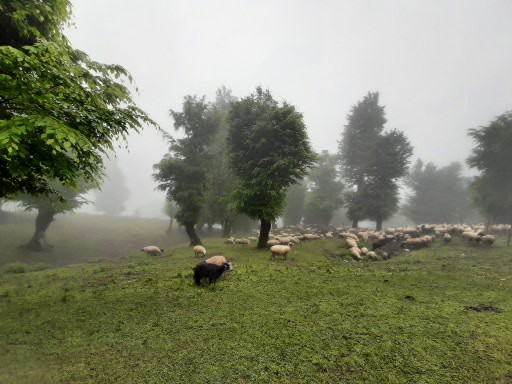 7549203_29_553.jpg
