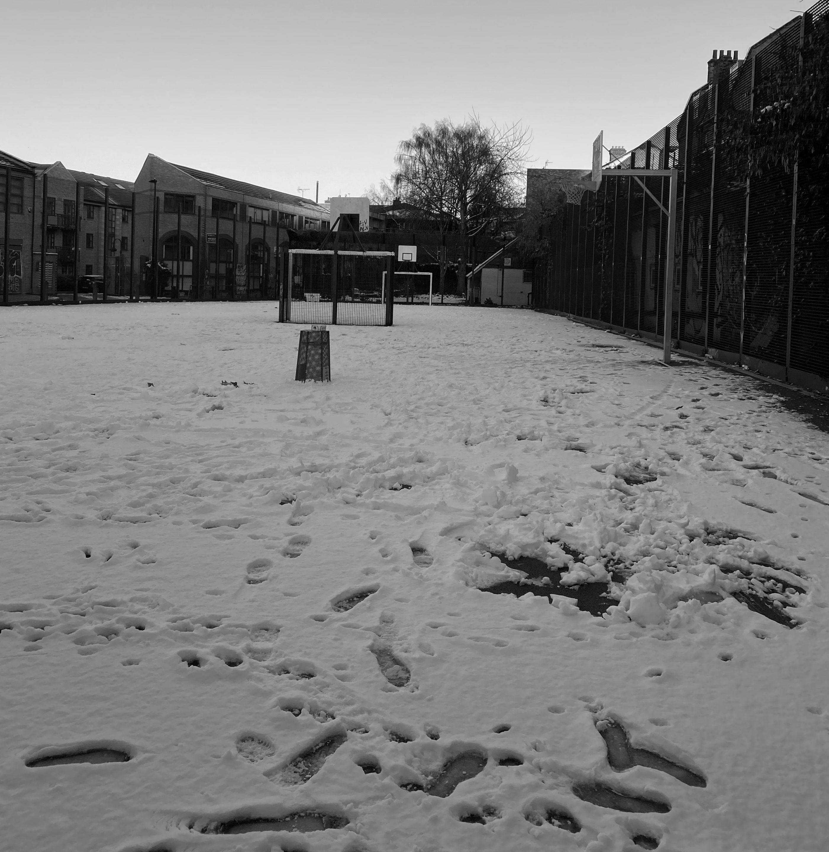 winter.jpg