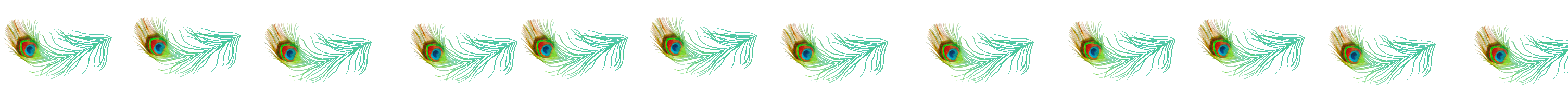 Separador pavorreal.png