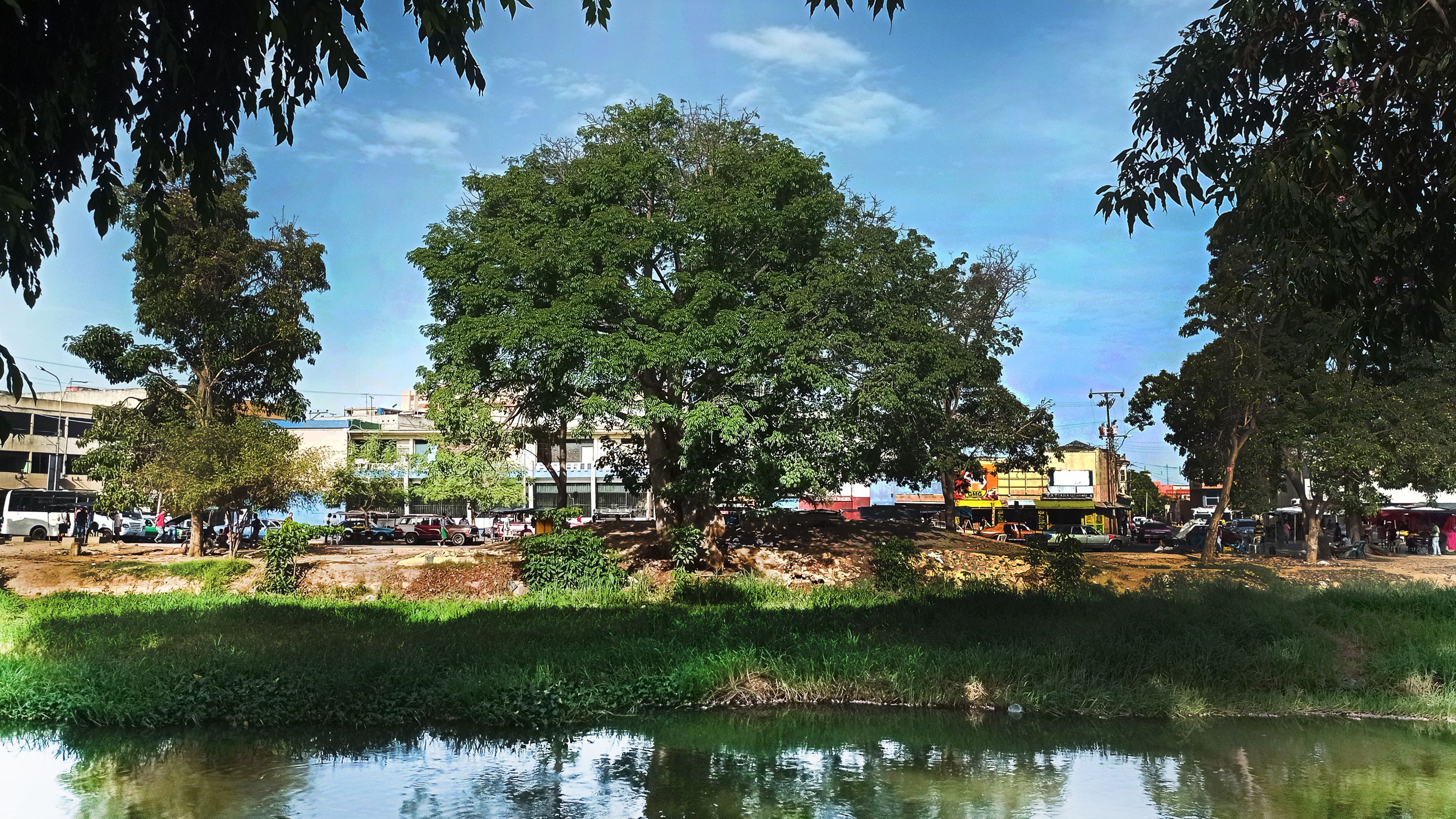 ceiba del puente.png