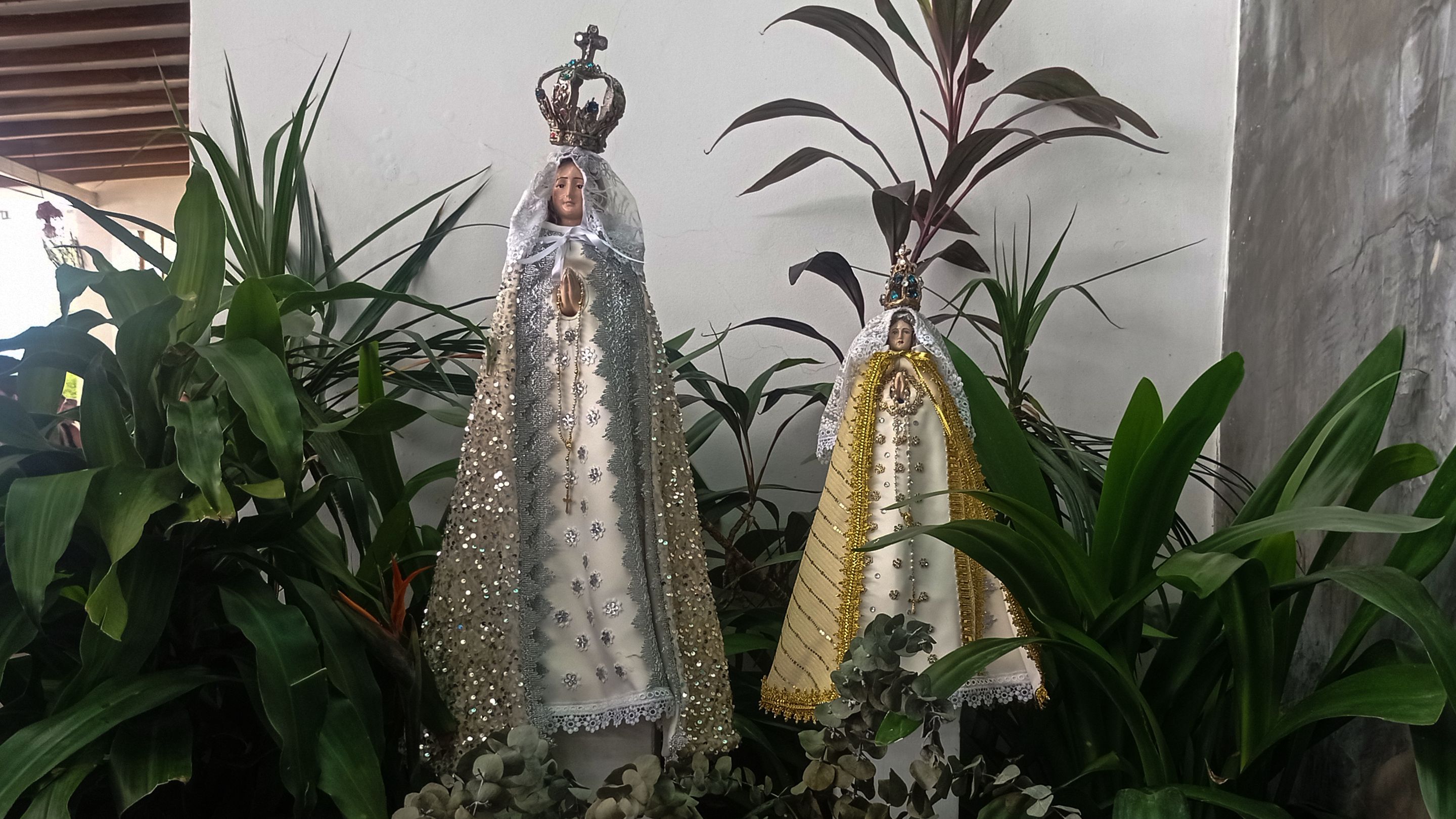 Pt virgen.png
