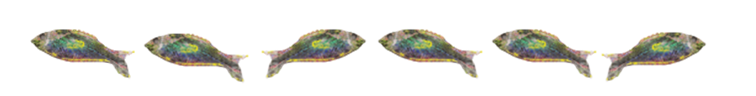 Separador peces.png