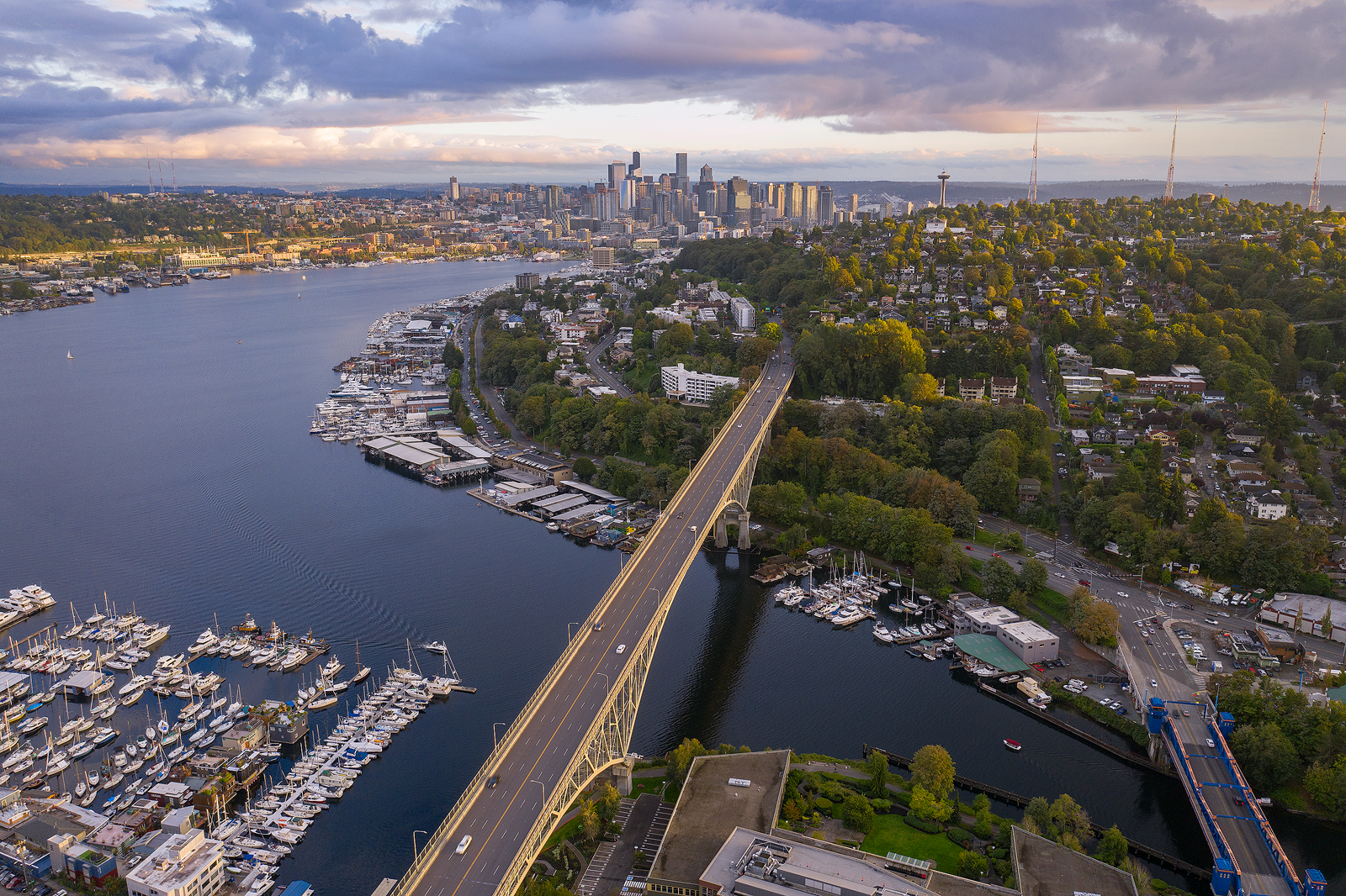 aurorabridgeseattle.jpg