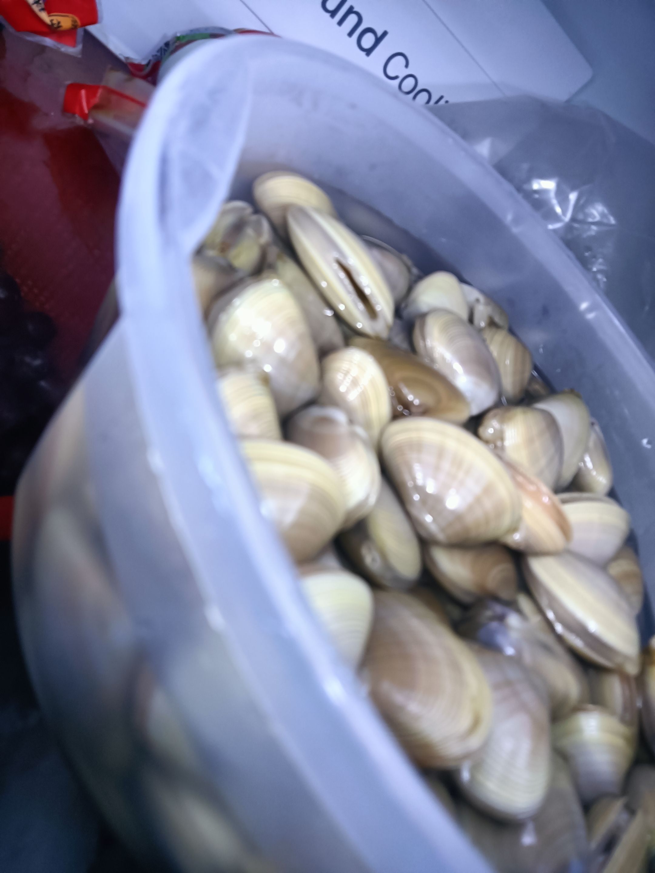 IMG20250809182330.jpg