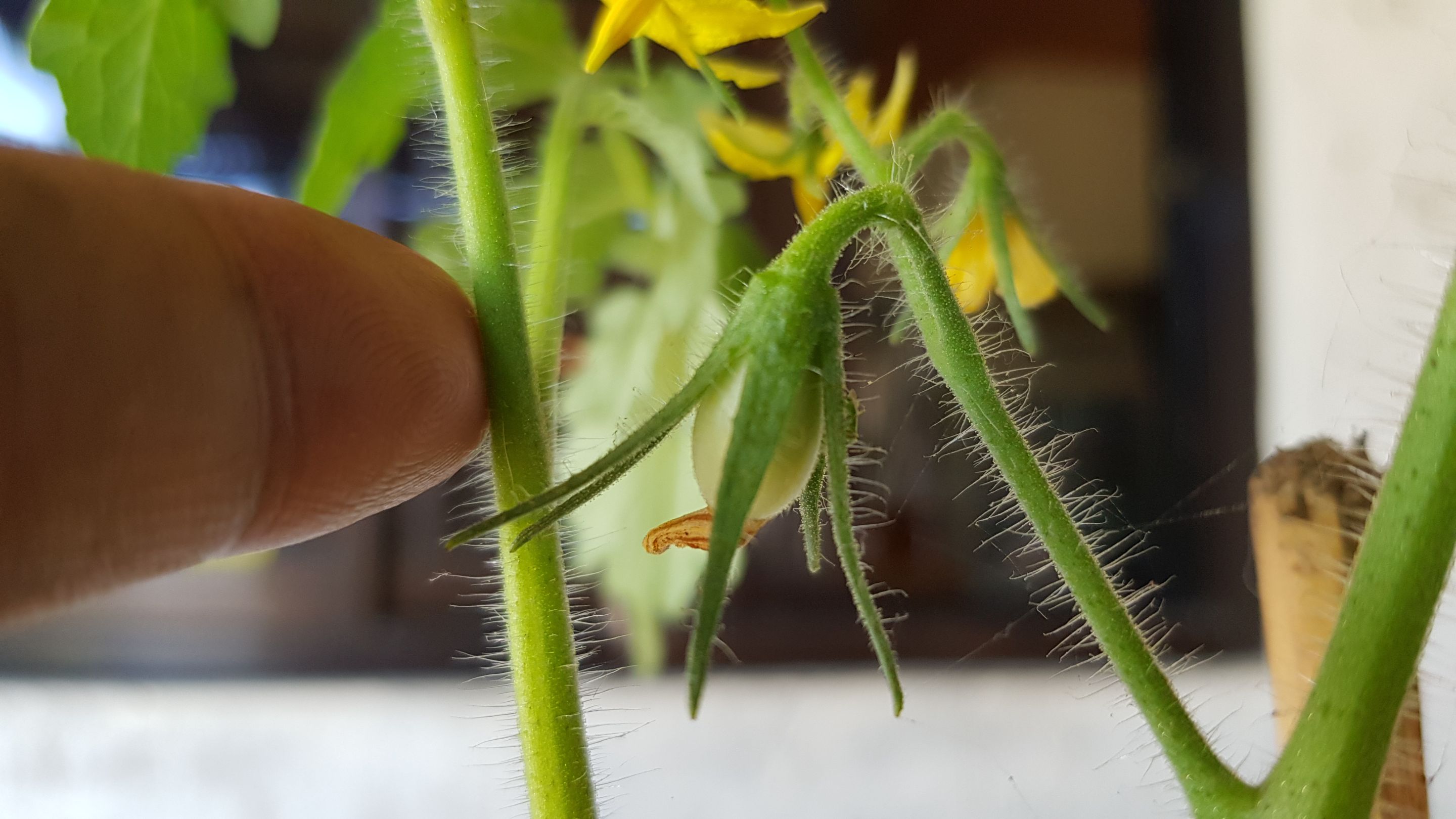 20220304_081544.jpg