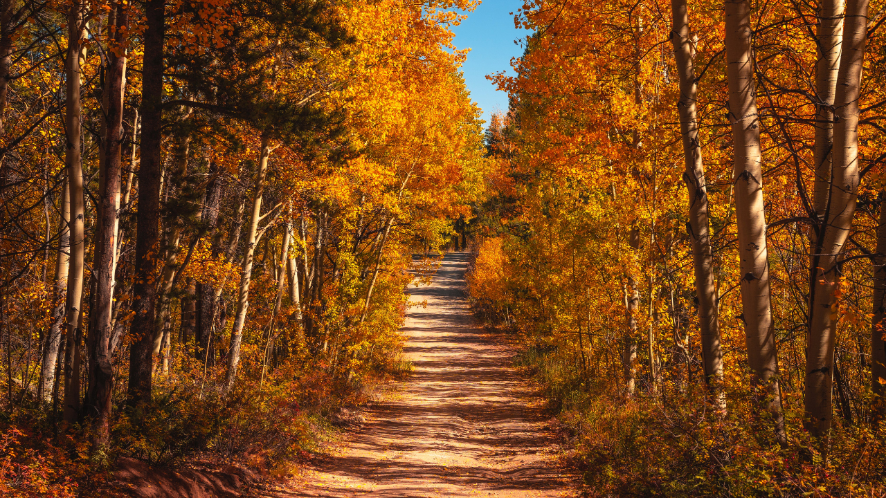 path.png
