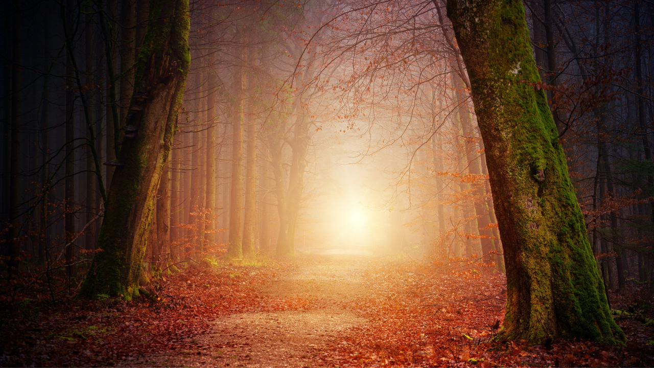 new path.png