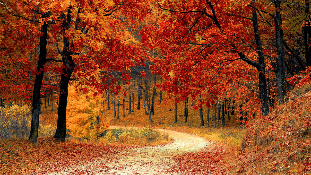fall.png