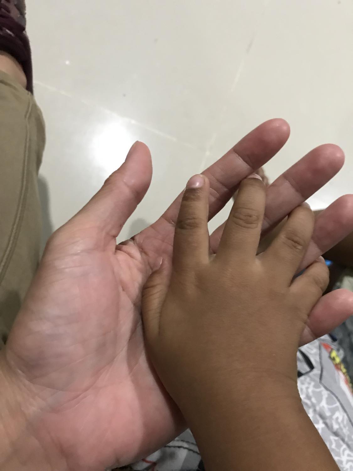 438124870_3480942485461639_7490784067263379667_n.jpg