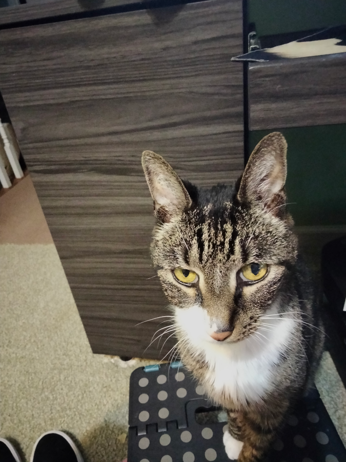 angry look2.png