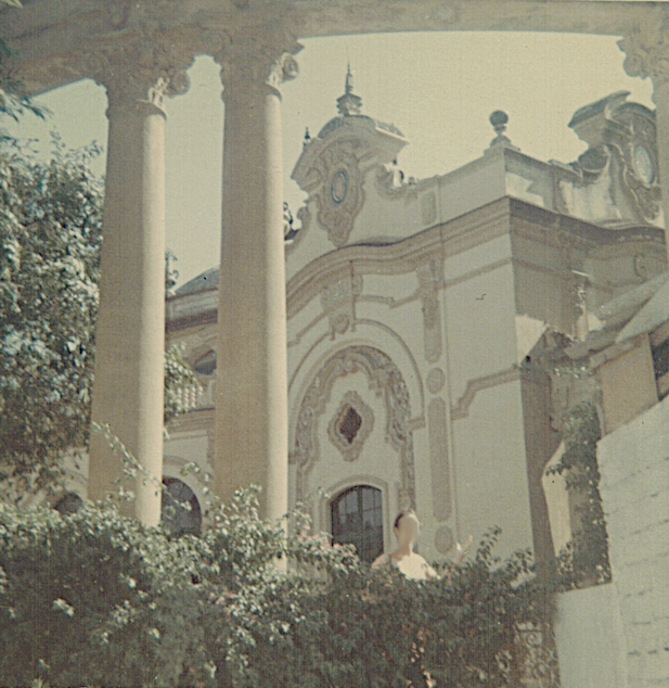 rosemary in seville maybe.png