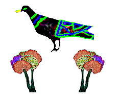yaziris pigeon and flowers.png