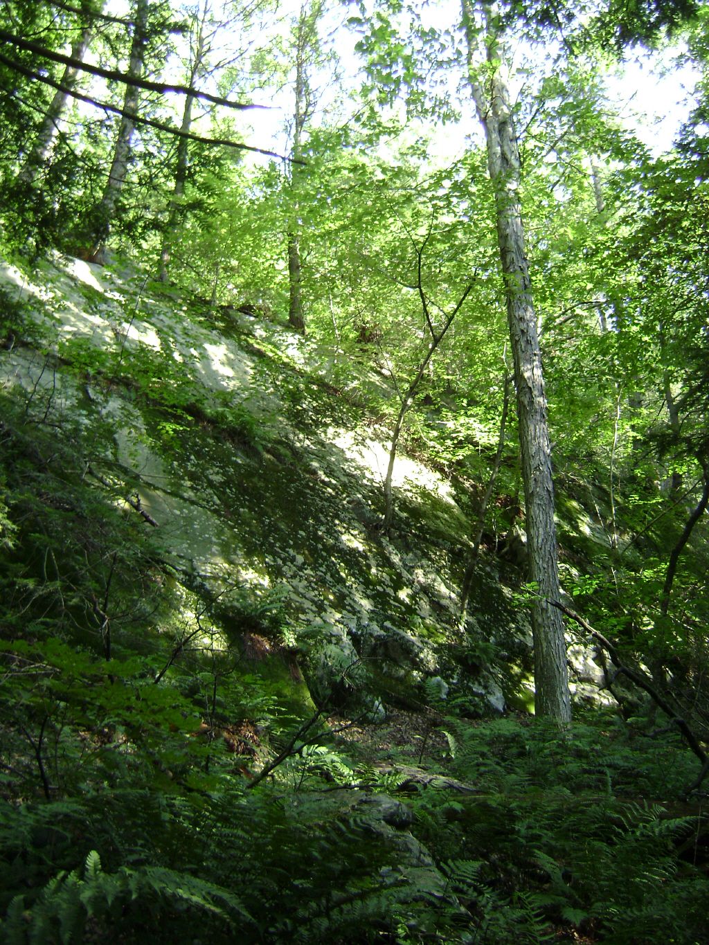 HemlockRidgeMUA_Cliff marlboro mountain plattekill.jpg