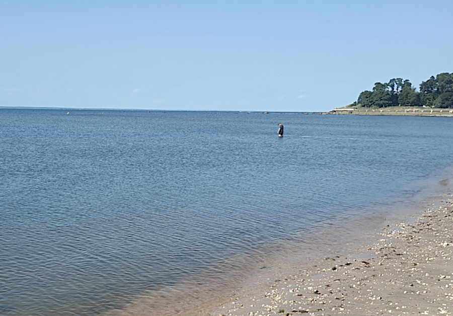 bather in water.png