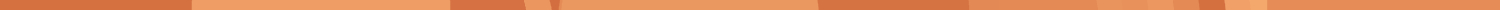 border 10 orange3.jpg