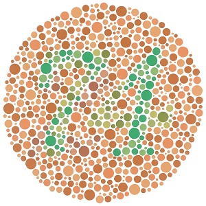 Ishihara 9 plate hydroxy.jpg
