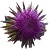 thistle extracted.jpg