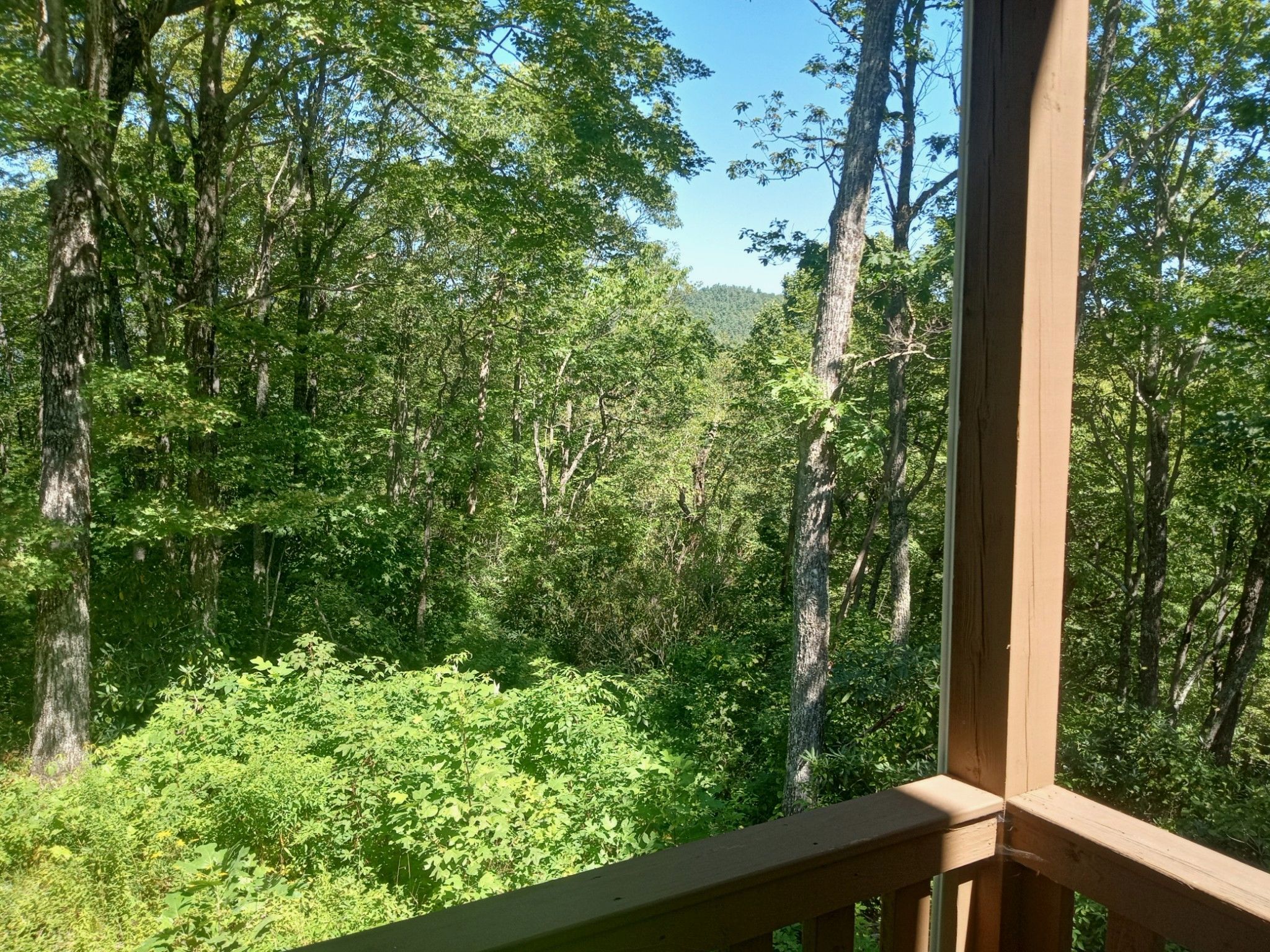another from the back porch north carolina.png