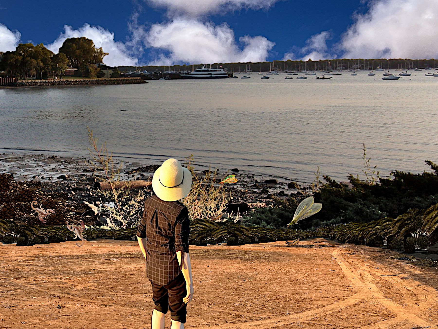 lmac 182 beach3.png