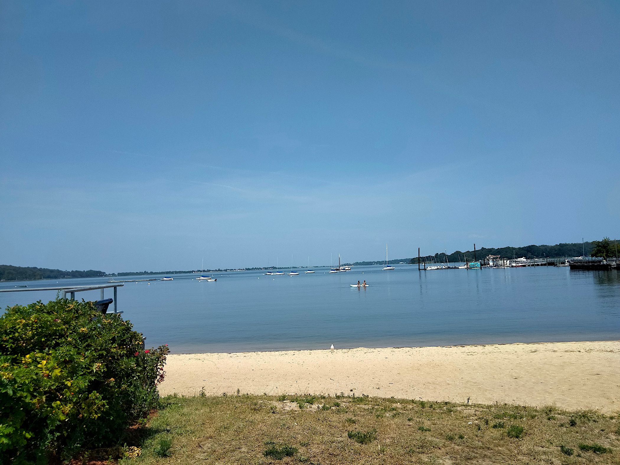 paddle boaters and bird.png