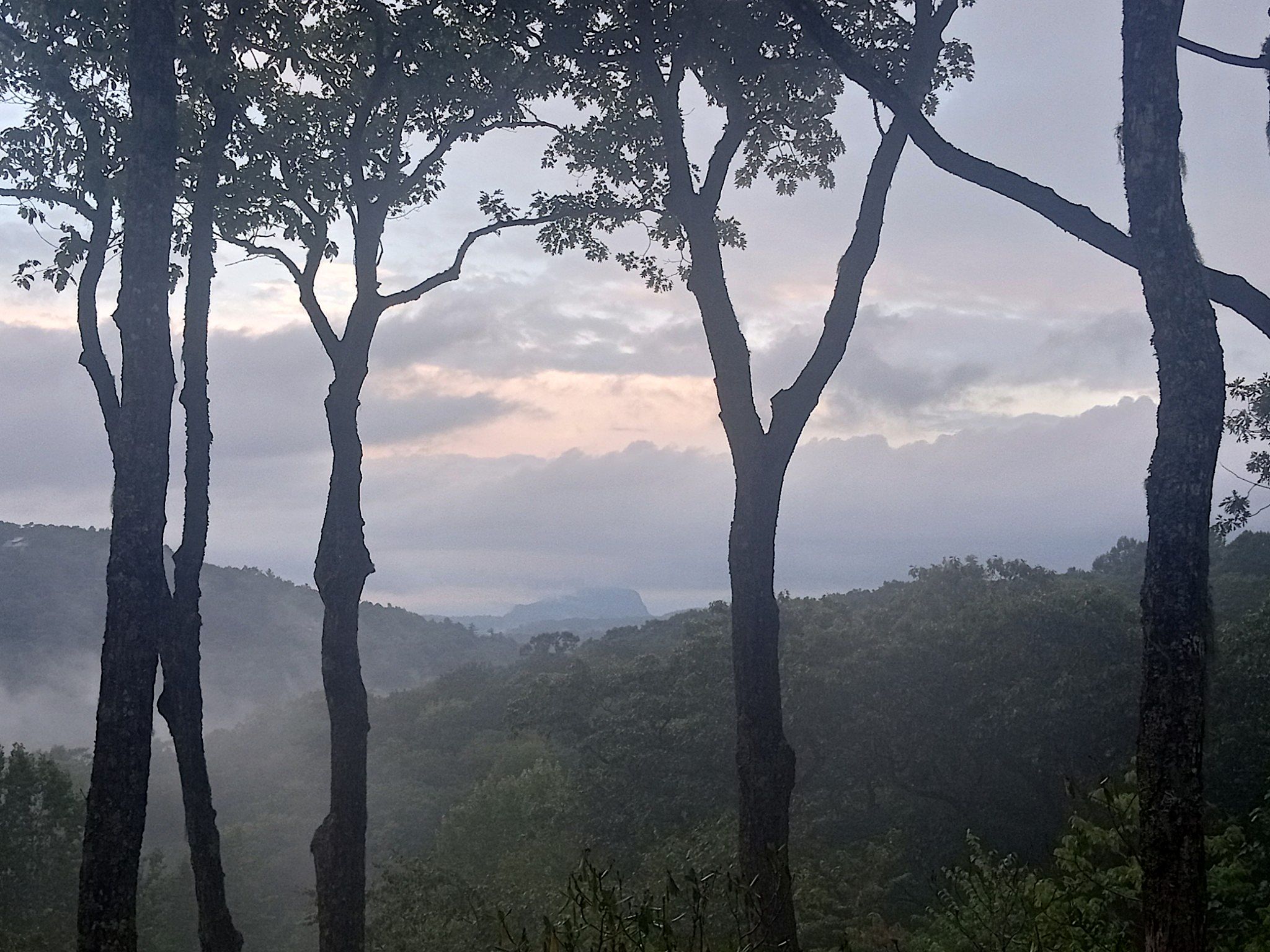 evening mist three.png