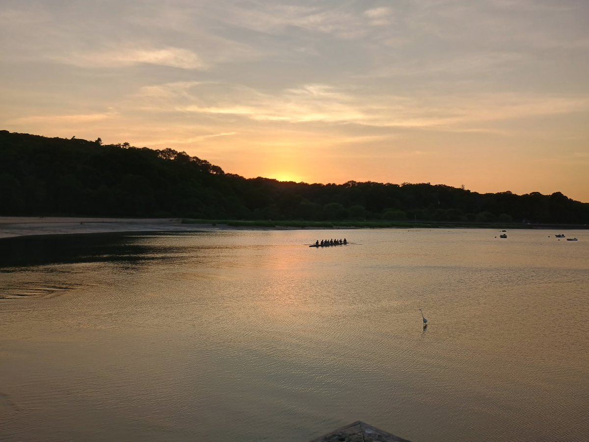rowers out at sea.png