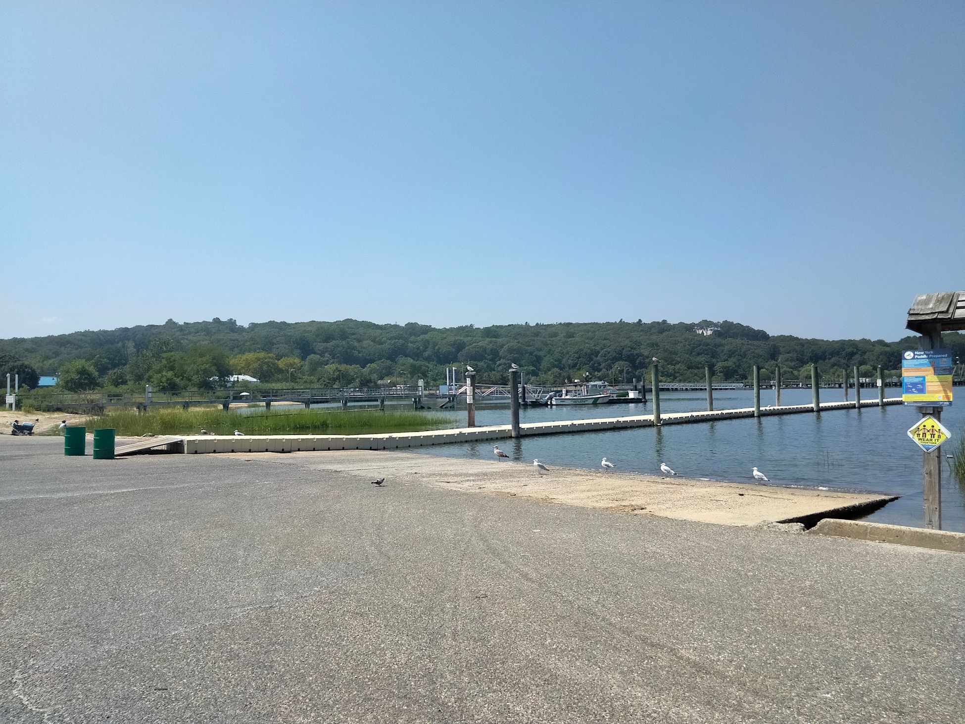 birds on a boat slip.png