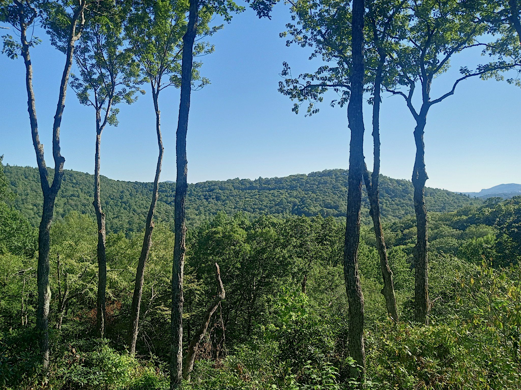 north carolina mountainscape.png