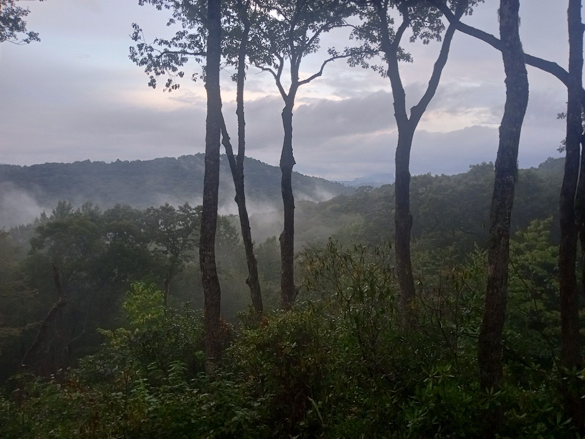 evening mist.png