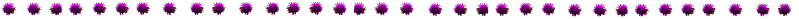 thistle border.jpg