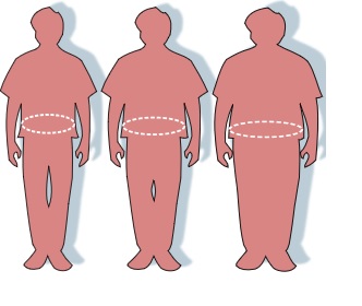 body types.jpg