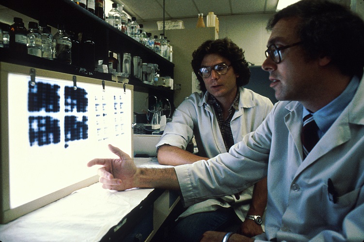 Monoclonal antibodies3 National Cancer Institute Linda Bartlett Photographer public.jpg