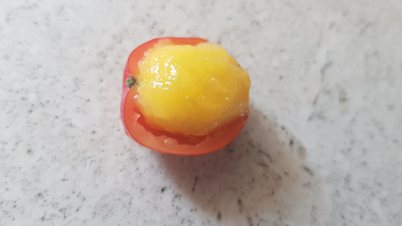 cherrytomatoes3.png
