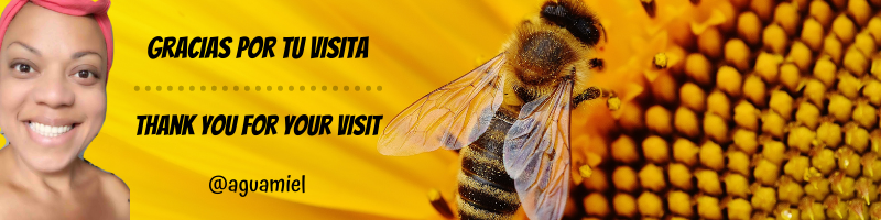 banner abeja.png
