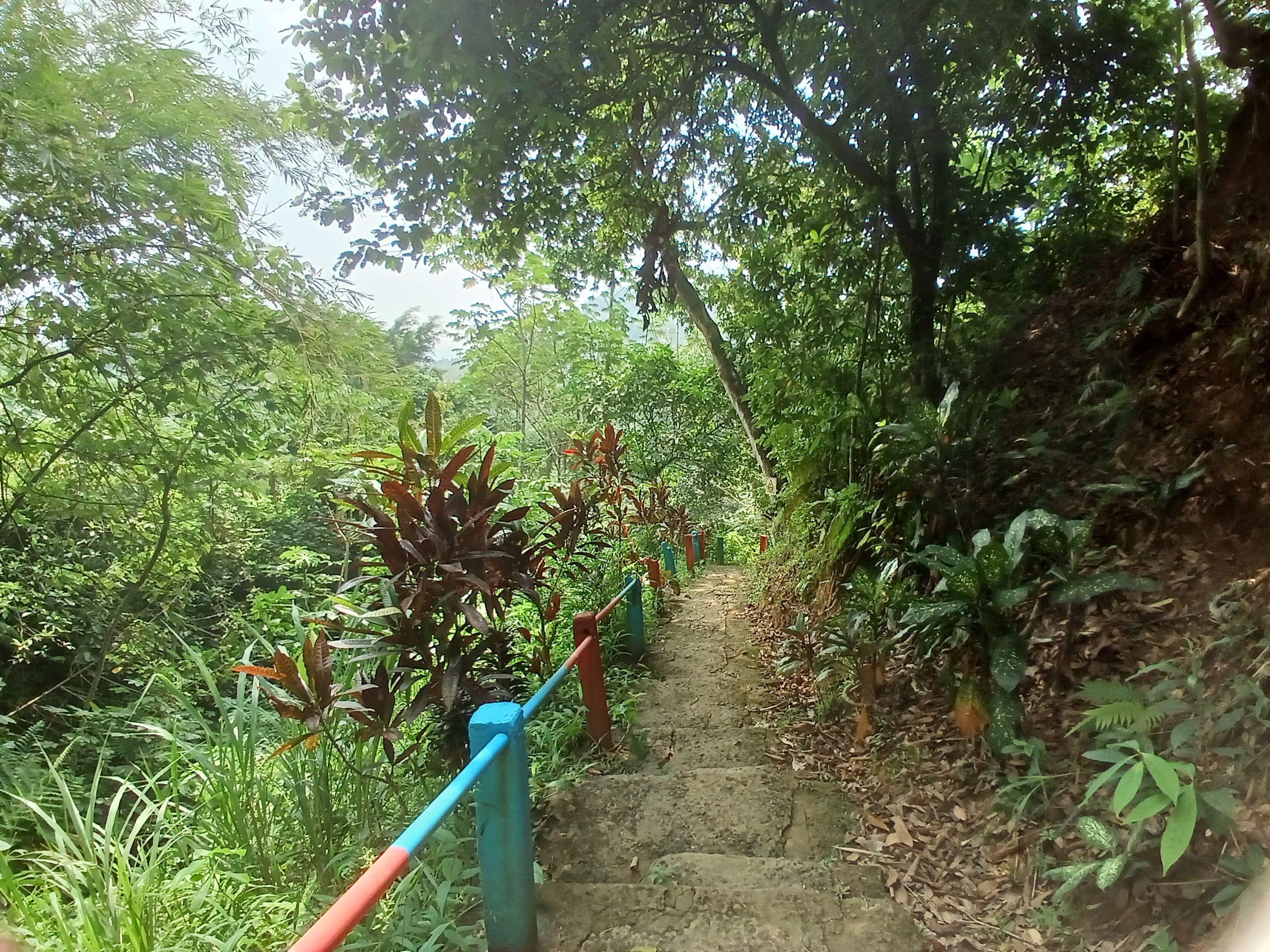 IMG-20250729-WA0044.jpg