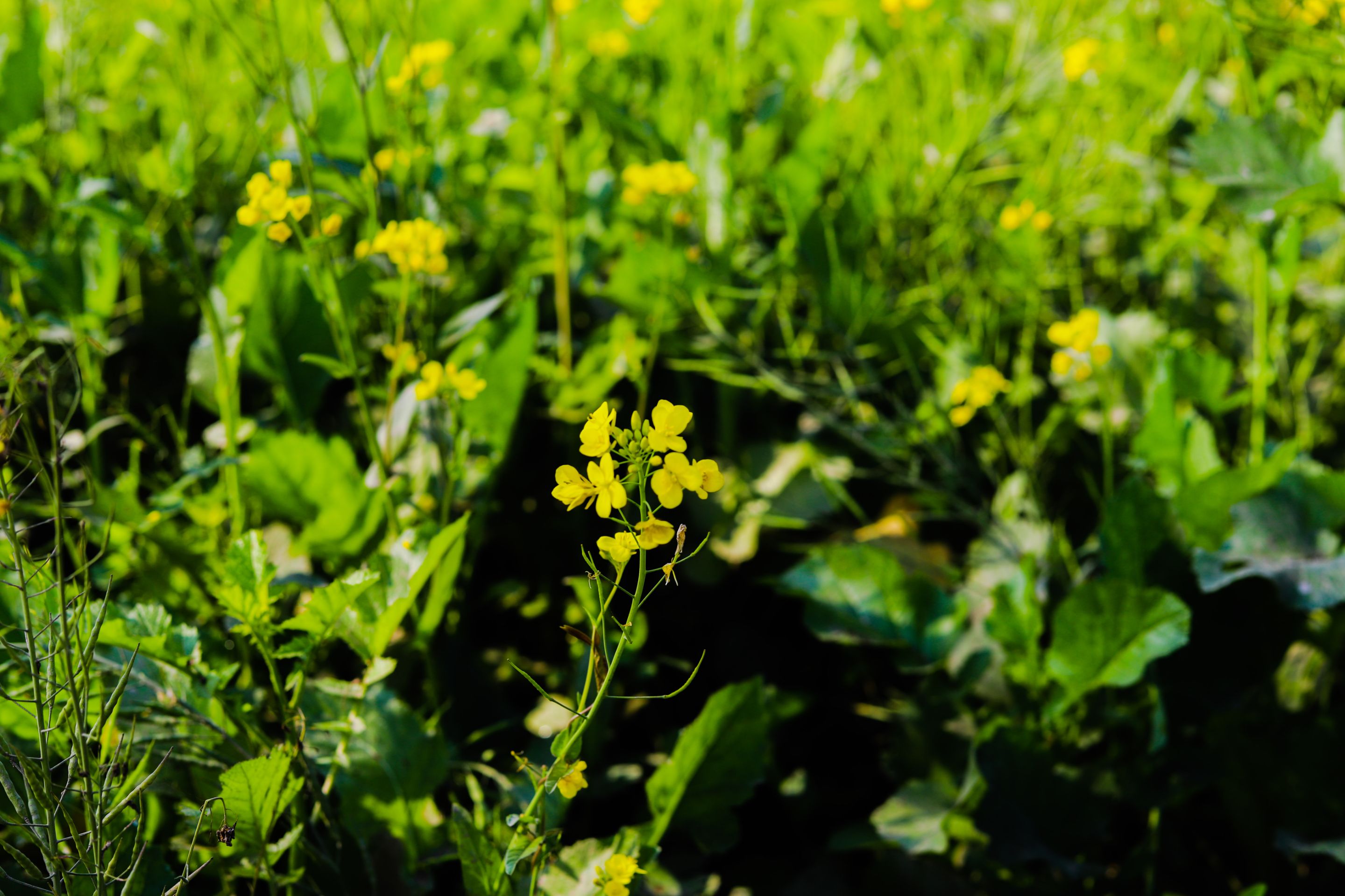 PSX_20220102_101000.jpg