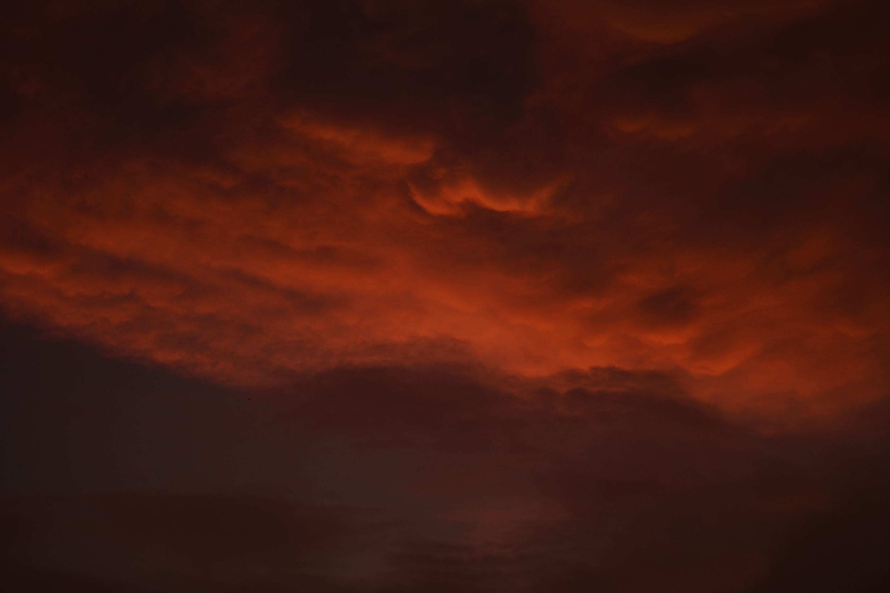 DSC_9084.JPG